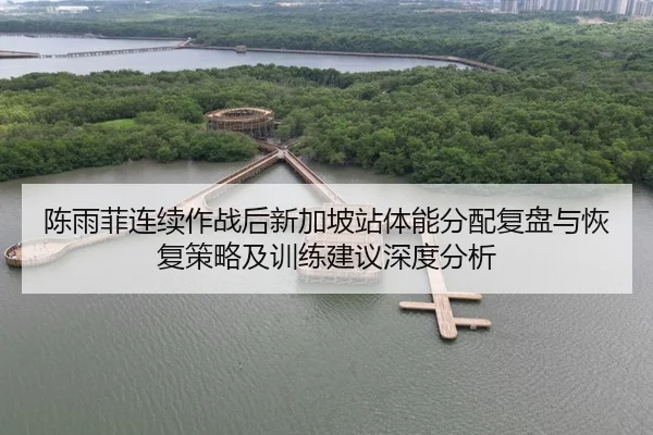 chen-yu-fei-lian-xu-zuo-zhan-hou-xin-jia-po-zhan-ti-neng-fen-pei-fu-pan-yu-hui-fu-ce-lve-ji-xun-lian-jian-yi-shen-du-2-962.jpg